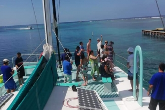 Stray Cat Catamaran Tour – Roatan Snorkeling Cruise